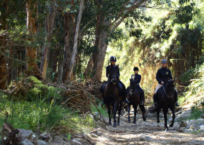 Ruta a caballo en marbella Horse trekking (3)