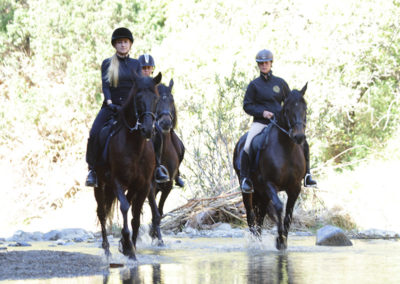 Ruta a caballo en marbella Horse trekking (6)